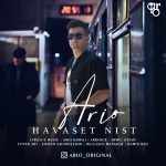 Ario Kamali Havaset Nist